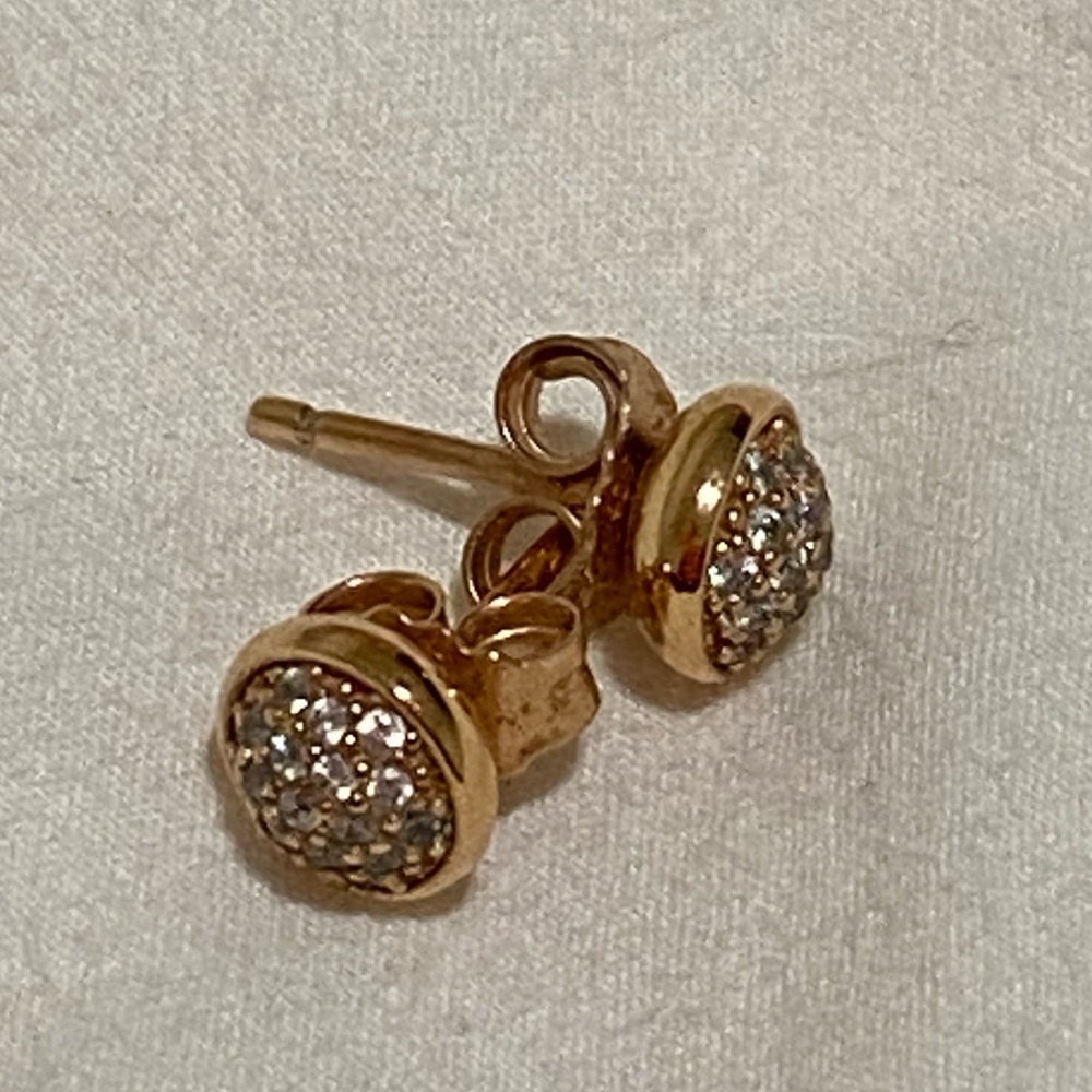 Pandora Earrings